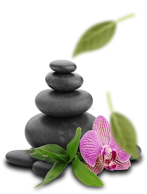 Clínica de Naturologia e Psicologia