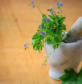 Naturologia - Fitoterapia